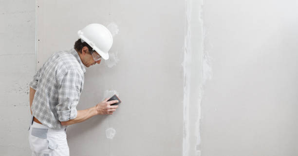 Best Mold Documentation for Insurance Claims  in West Point, NY