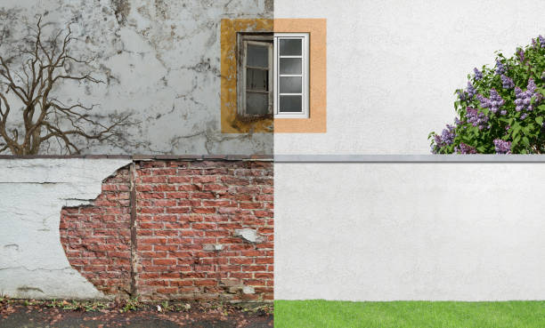 Best Attic Mold Removal  in West Point, NY