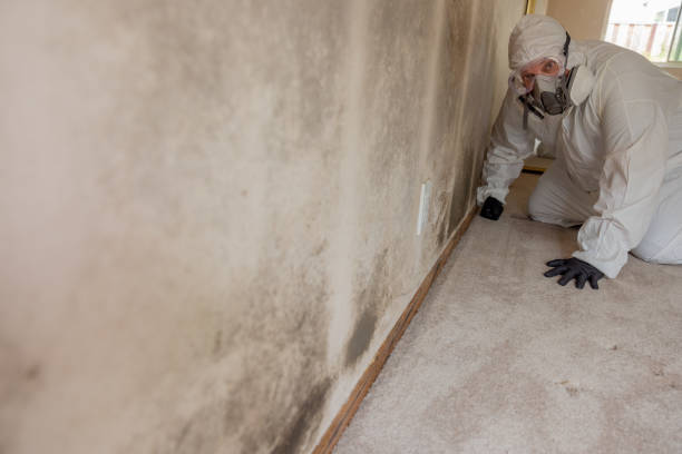 Best Comprehensive Air Testing for Mold Contaminants  in West Point, NY