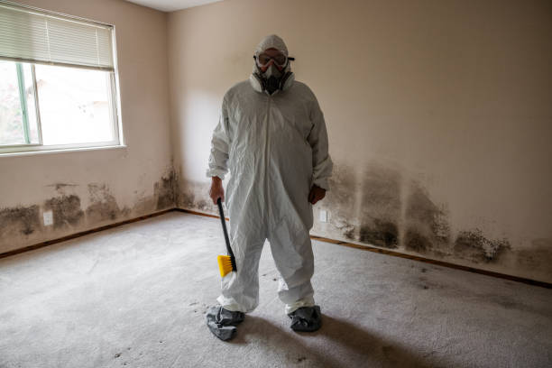 Best Environmental Consulting for Mold Prevention  in West Point, NY