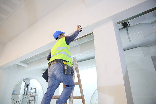 Best Basement Mold Removal  in West Point, NY