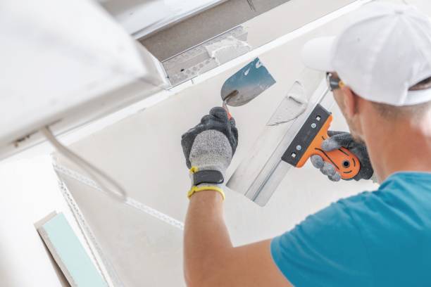 Best Mold Odor Removal Services  in West Point, NY